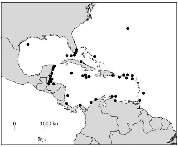 Long-term region-wide declines in Caribbean Corals Gardner, T.A. et al., 2003.