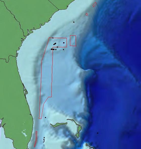 GRNMS SAC Meeting, 28 Jul 08 Deepwater Coral Banks of the South Atlantic Bight Also being considered as