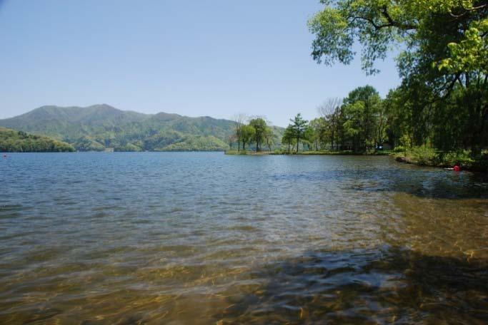 You may go for a walk around the beautiful Lake Nojiri and have some relaxing time!