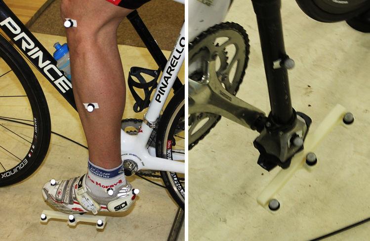 The authors mention that the integration of sports science combined with expert guidance and appropriate training program can have a positive impact on the overall performance of sports cyclists with