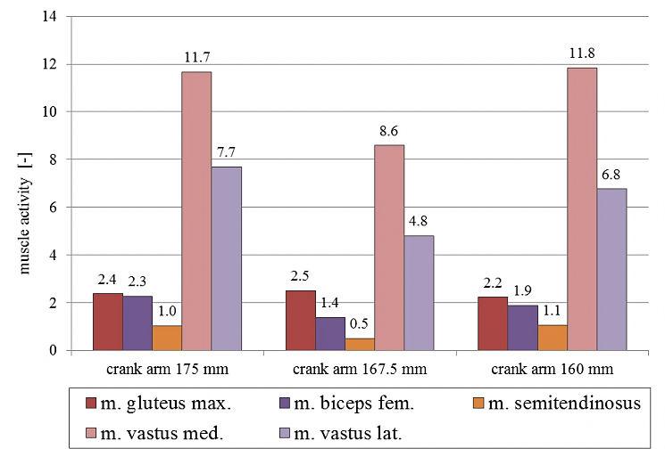 Fig. 11 Muscle activity in health limb climbing position The evaluation of muscle activity of individual muscles for the climbing position showed the following findings: Muscle activity of amputated