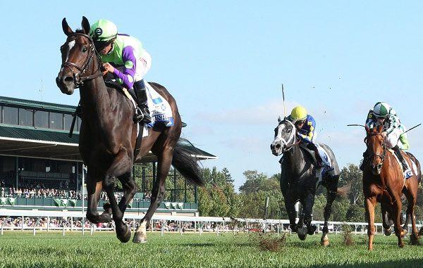 FRIDAY, 3 NOVEMBER 2017 RUSHING FALL looked potentially high class when winning the Jessamine Stakes at Keeneland (Photo by Jeff Coady), and she is the strongest of two cards played by Chad Brown who