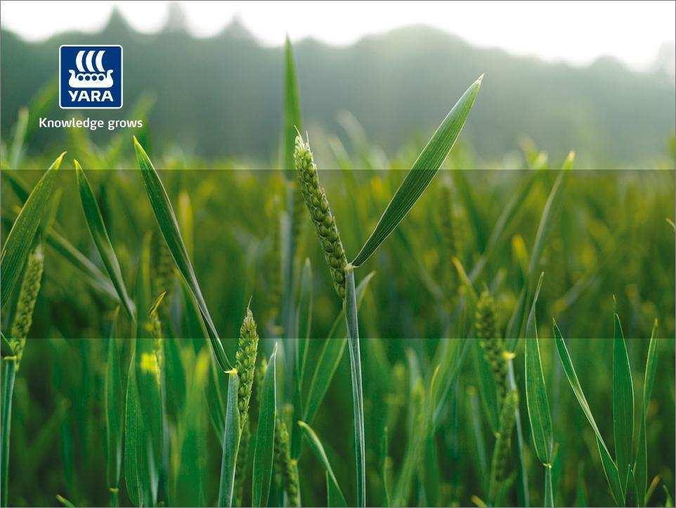 High crop prices: Positive for fertilizer demand what