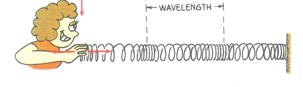Longitudinal Waves The dense, compressed area of a longitudinal wave is called a Compression. The lower density region of a longitudinal wave is called a Rarefaction.