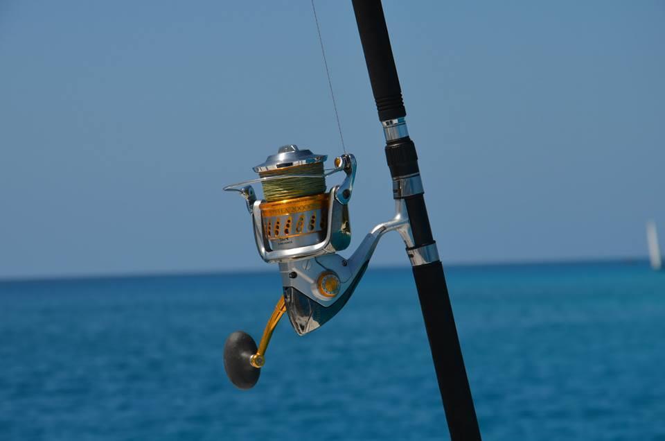 FISHING DETAILS FOR KEEN ANGLERS: If you are dreaming of catching Dogtooth Tuna, Kingfish, Barracuda, Wahoo, Grouper, Sailfish, Yellowfin Tuna, Rosy and Green Jobfish and a range of decent sized reef