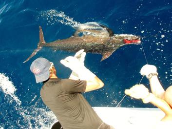 CREW & FISHING DETAILS The crew are highly qualified and have been fishing the Tanzania waters for decades.