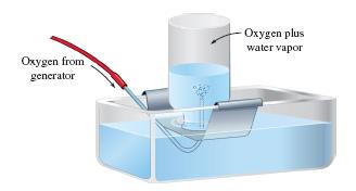 The vapor pressure of water is constant at a given