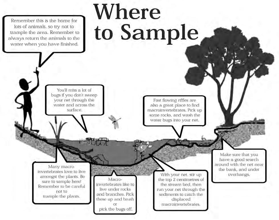 Figure 21 Leaf Pack Experiments or Hester-Dendy Samplers reprinted with permission from the South Australia Water Watch Another type of sampling involves placing an artificial substrate in the stream