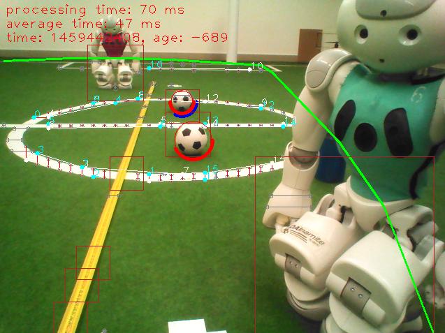 Fig. 2. Visualization of the processing results for a sample image. Detected elements are highlighted: Field border (green), line-segments (white), visual obstacles (red box) and ball (red circle).