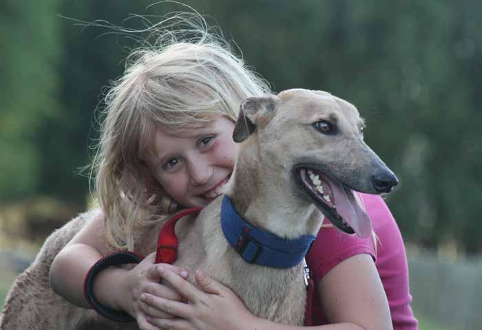 CASE STUDY GREYHOUND ADOPTION PROGRAMME TRUST AKA GREYHOUNDS AS PETS Greyhounds as Pets (GAP) is an independent registered charitable trust established by Greyhound Racing New Zealand which delivers