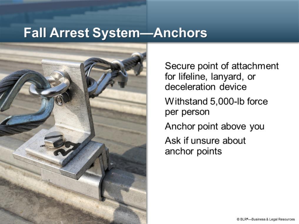 The anchors of a fall arrest system are critically important. A fall arrest system is only as good as its anchor.