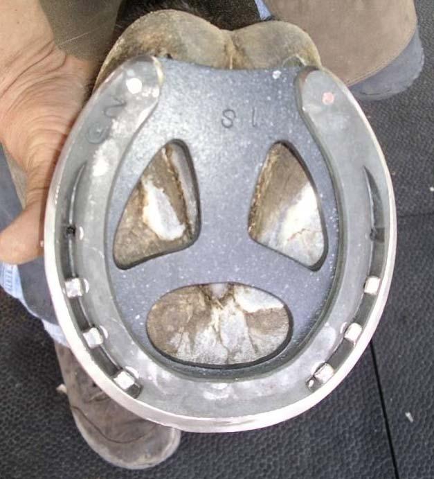 Figure 15. Spider plate fitted under a shoe.