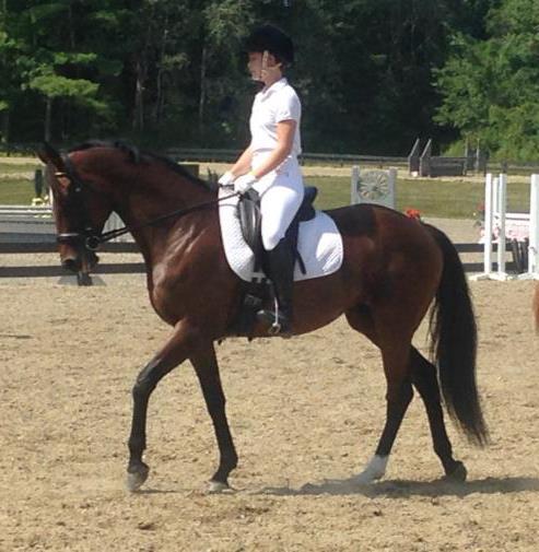 Advanced: Is a rider that can train and influence a horse s way of going. This rider knows their diagonals and leads. Rider can perform lateral exercises as well as simple changes of leads.