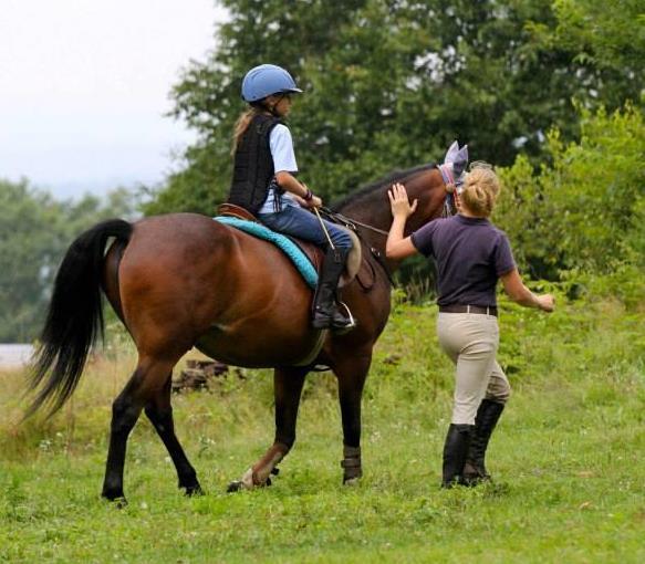 Councilor in Training (CIT) Program Contry Hill Farm is offering a councilor in training program for riders ages 13+. This program will consist of a two week program.