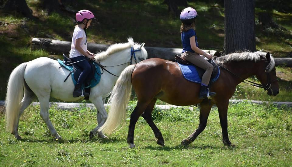 Full Day of Camp: Monday through Friday from 10am 5pm Cost: $525 5 day camps/$225 for 2 day camps During a full day, campers receive 2 mounted lessons, a lunch break, and participate in an hourly fun