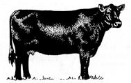 Four sixes cattle are branded with four sixes (6666). As a cow/calf operation, the Four Sixes Ranch now maintains a breeding herd of approximately 7,000 mother cows.