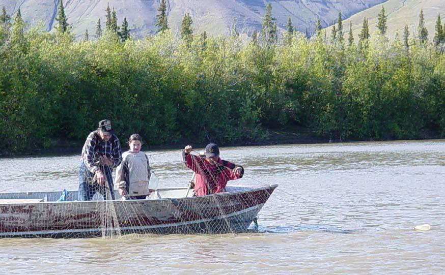 RECOMMENDED FISHING GEAR AND METHODS Appendix 1 lists specific regulations that apply to all subsistence, domestic and commercial fishing in the Northwest Territories and therefore apply to the Rat