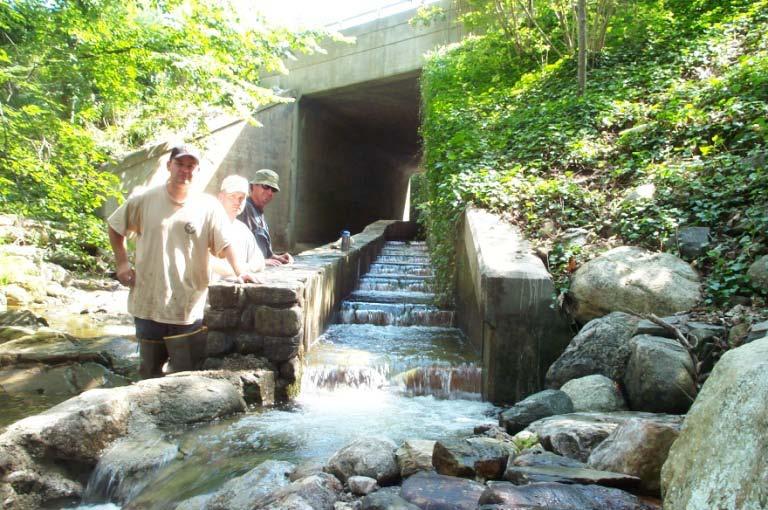 Pool-and-Weirs (small) - These fishways are used at dams generally less than 12 feet in height and have pool sizes smaller than 6 ft x 6 ft.