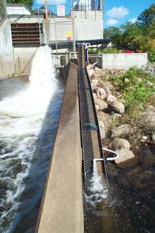 Eel Pass (Climbing Ramps) - There are a number of technologies used to pass American eels over dams but the most common is a sloped climbing ramp.