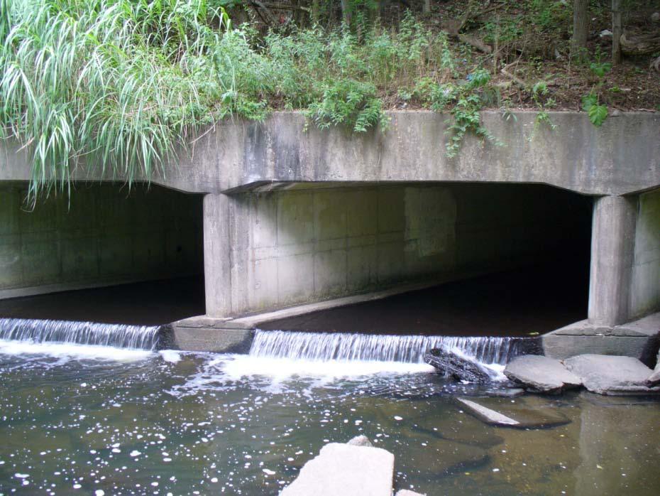 Full span, bottomless arched culverts that maintain natural substrates are also effective.