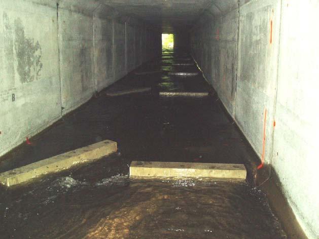 The installation of baffles inside culverts can be helpful. Perched culverts are usually best addressed by a complete replacement with a culvert that is flat and recessed below streambed level.