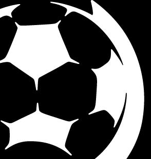 BACKGROUND Announced in 2012 as a direct outcome of Football Federation Australia s National Competition Review, the National Premier Leagues were introduced in 2013 as a new nationwide second tier