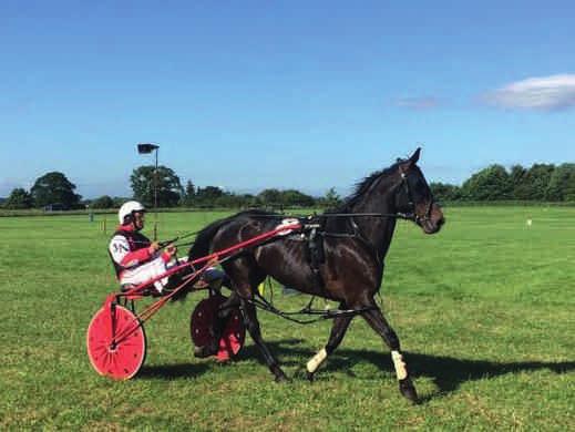 Harness Racing In association with Eden Valley Harness Racing At 5:00pm on the Showfield the Harness Racing begins. Returning once again after been a hugely popular final event at the 2017 Show.