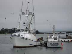 less than 5% in both cases of the totals for Eureka area commercial fisheries. However, in terms of boats and buyers, the salmon fishery has played a more substantial role.