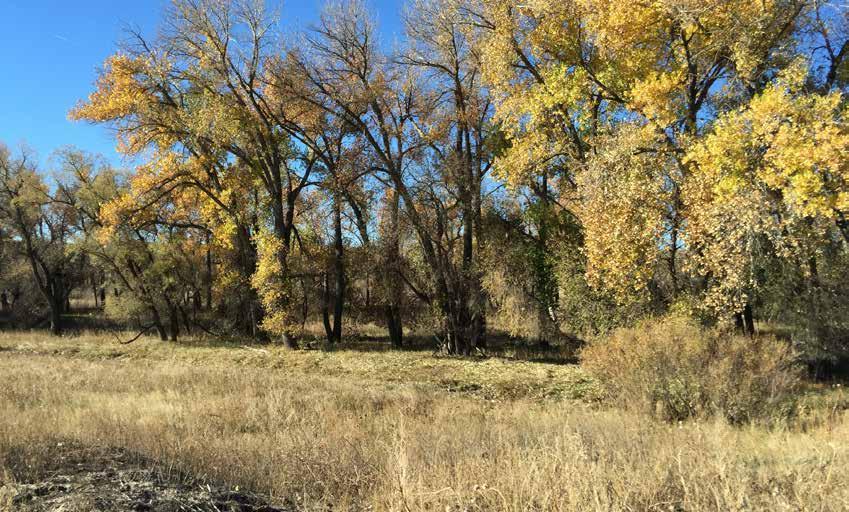 HORSE CREEK RANCH 6,607 Acres $5,500,000 EQUIPMENT: also included in the sale is all of the sellers farm/ranch equipment and rolling stock making this truly a turn key offering.
