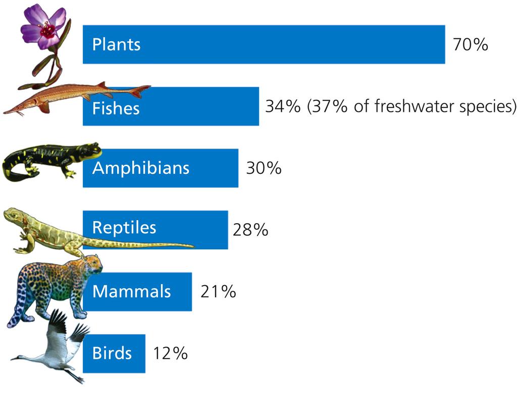 Percentages of various species