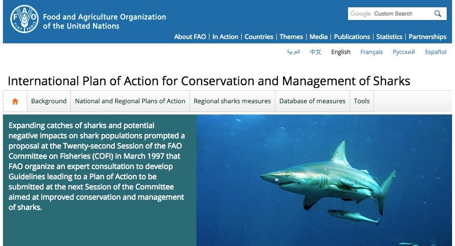 IPOA - sharks framework Guiding global fishing nations in the sustainable management of sharks, an other