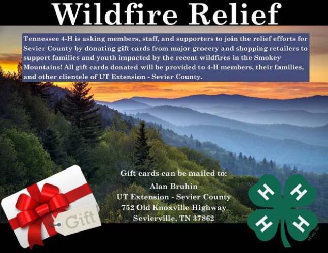 Tennessee 4-H is receiving a number of contacts asking how they can help those individuals in the towns of Gatlinburg and Pigeon Forge, TN (Sevier County) that have been impacted by the recent