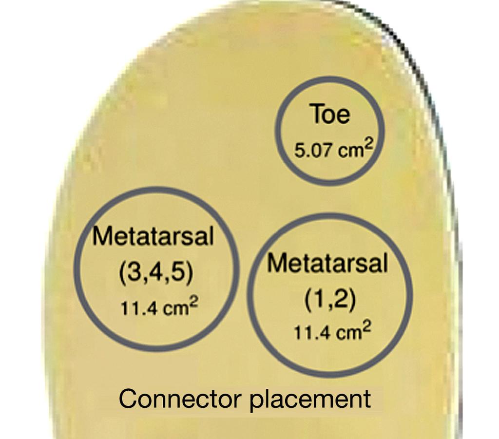 The forefoot region was broken down into three regions for testing as seen in Figure 3 consisting of (i) the first and second metatarsal heads (medial metatarsals); (ii) the third, fourth, and fifth