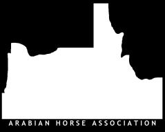 Refer to the Region 4 AHA website for specific rules, regulations and deadlines, or contact the futurity chairperson. One horse per enrollment form. You may enter as many classes as you wish.