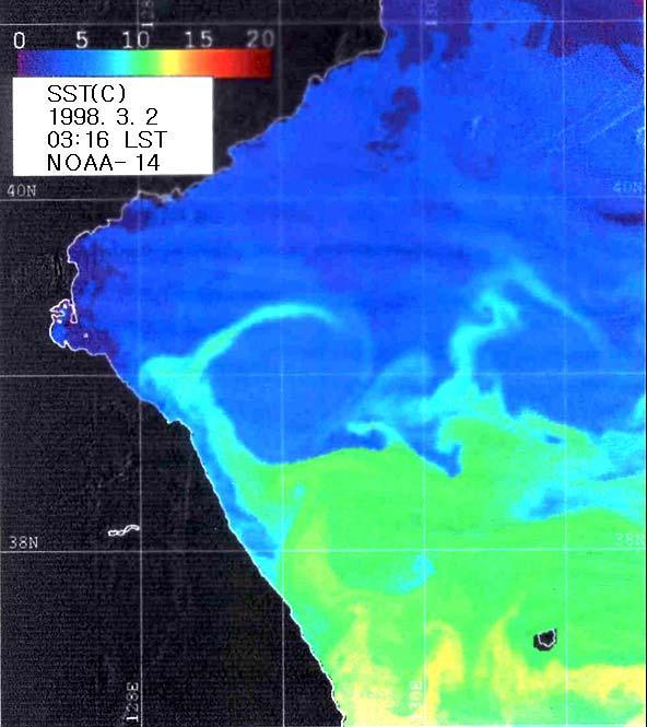 NOAA AVHRR SST distribution (b) off the