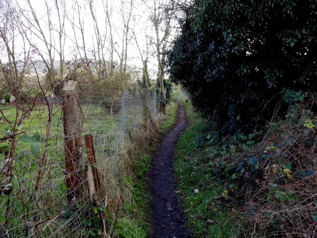 Circular Path heading south from the smallholdings into