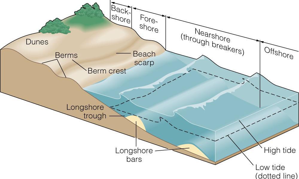 Low Energy Coasts Berms sediment accumulation by wave action Beach scarp wall