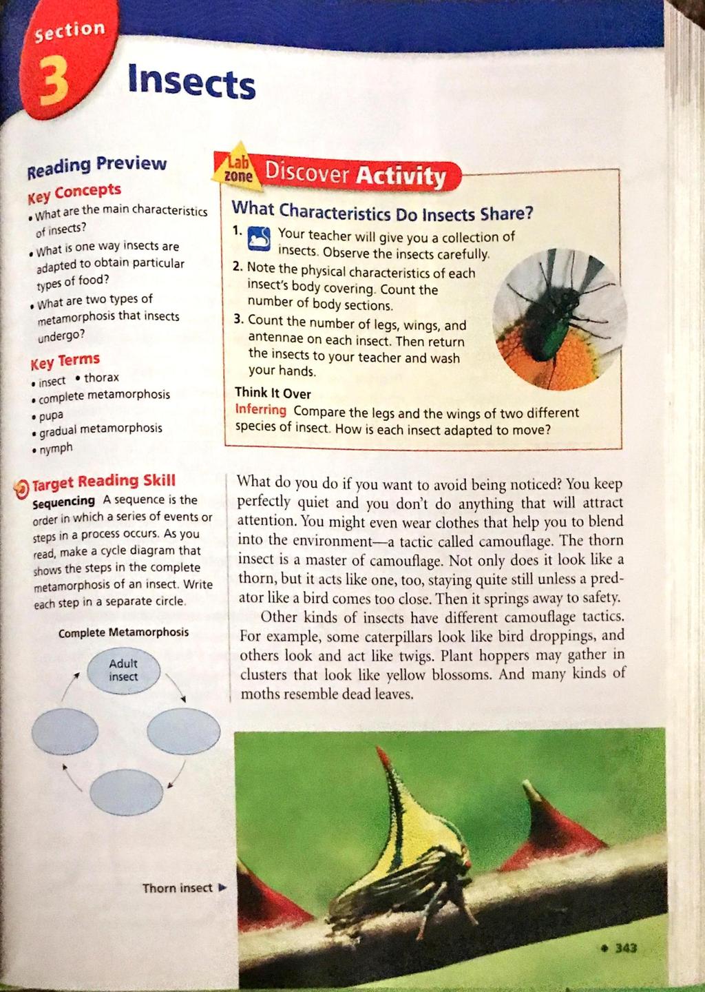 section Insects Reading Preview Key Concepts What are the main characteristics of insects? What is one way insects are adapted to obtain particular types of food?