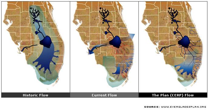 Comprehensive Everglades