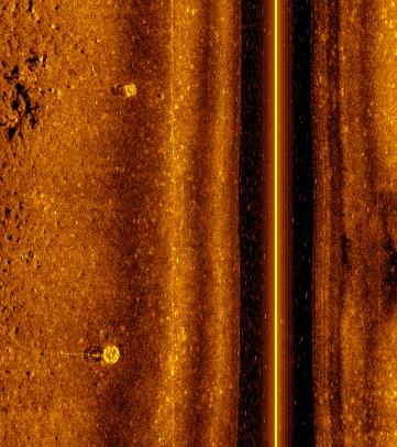 Figure 1. An example of a sidescan sonar image of derelict crab pots.
