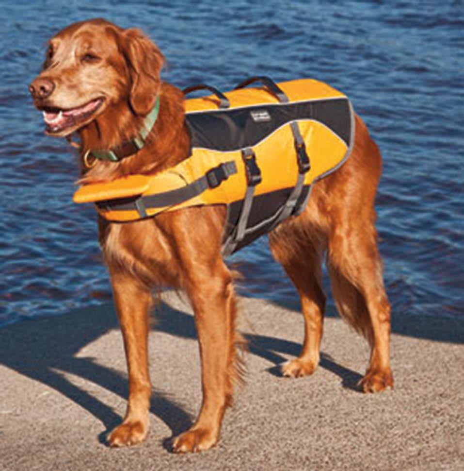 We do have a small selection of doggy buoyancy aids.