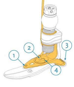Unity Integrated Unity Pump & Flex-Foot 1. Frame & Support Blade: Upon heel deflection, the frame moves up and the support blade moves down, thus expanding the membrane. 2.