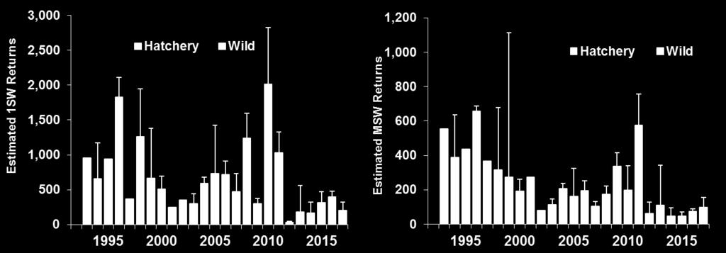 multi-sea-winter (MSW) Atlantic Salmon returns (and 2.5 and 97.