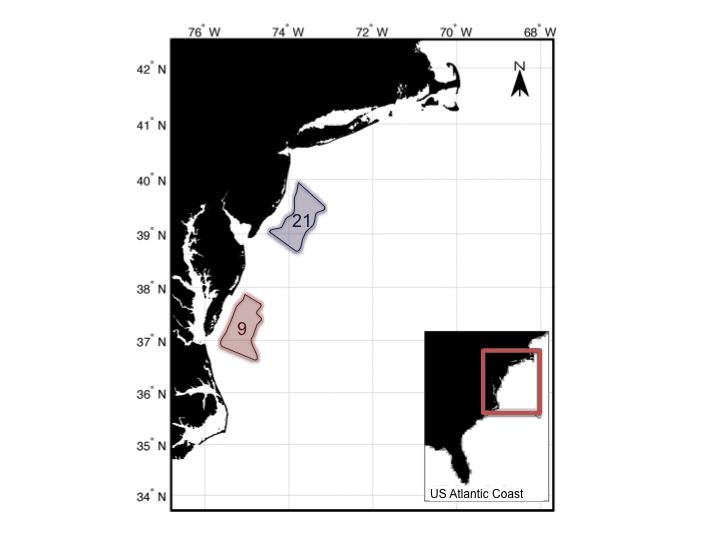 Surf Clam Sampling Areas & Data Tables East Coast MARE Figure 1.