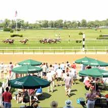 Souvenir ticket for Saturday, June 9 Upscale buffet & premium open bar package Private amenities: betting windows and restrooms Views of