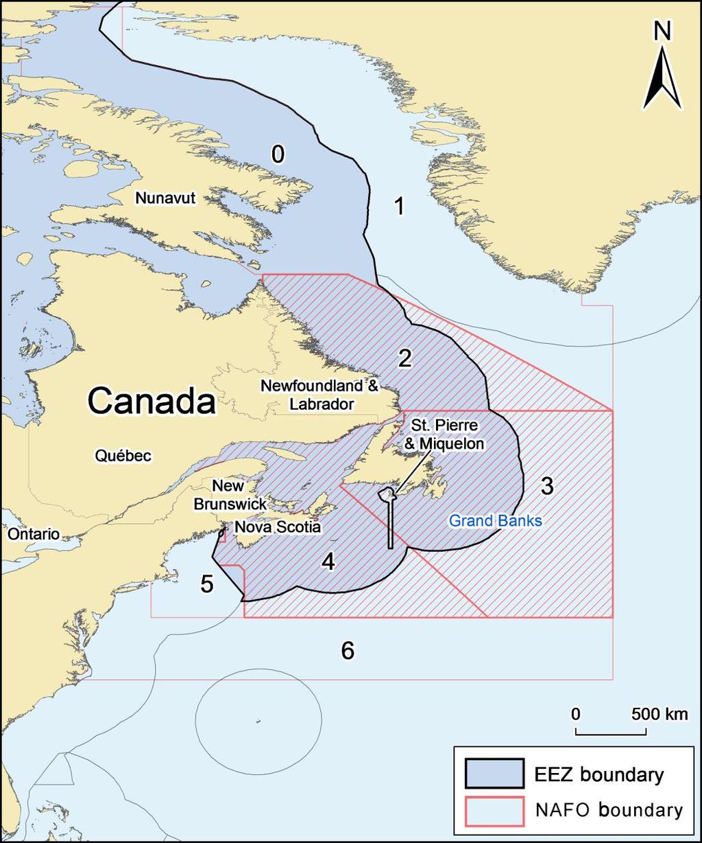 Atlantic cod (Gadus morhua) in Eastern Canada The Northern cod fishery one exploited one of the most abundant species in the world; Cod moratorium was announced in