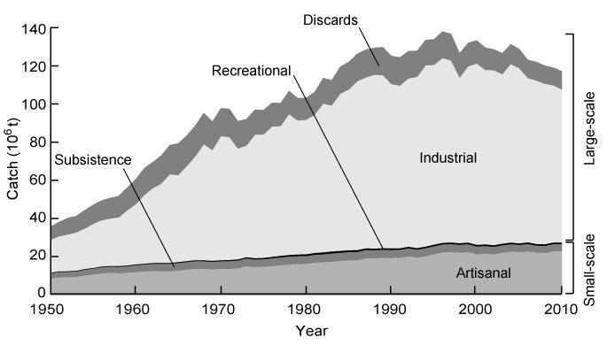 Reconstructed global catch by fisheries sectors.