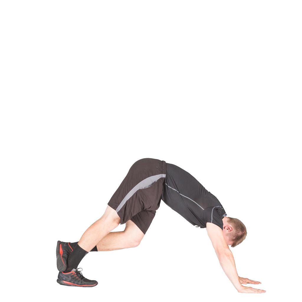 Warm-up 1. All 4 Belly Lift 1. Position yourself on your hands and knees. 2. Maximally round your spine upward. 3. Tuck your hips under, feel abs engage. 4. Raise knees off floor until they are straight.