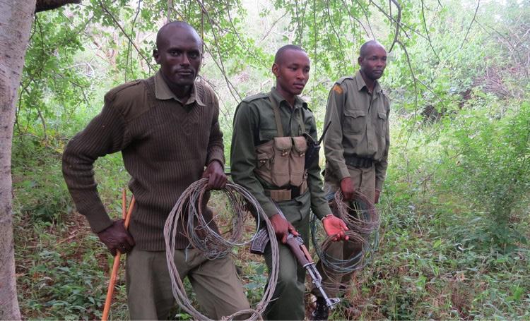 DE-SNARING UNITS AND AERIAL SURVEILLANCE TEAMS Olsekki Over 1,500 poachers arrested - Over 150,000 snares removed In partnership with the Kenya