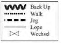 LK 4/5 A/B SSH - Aufstellung bei A, von A bis B im Walk - Bei B Jog, Volte um C, weiter zu D, Stop - Set